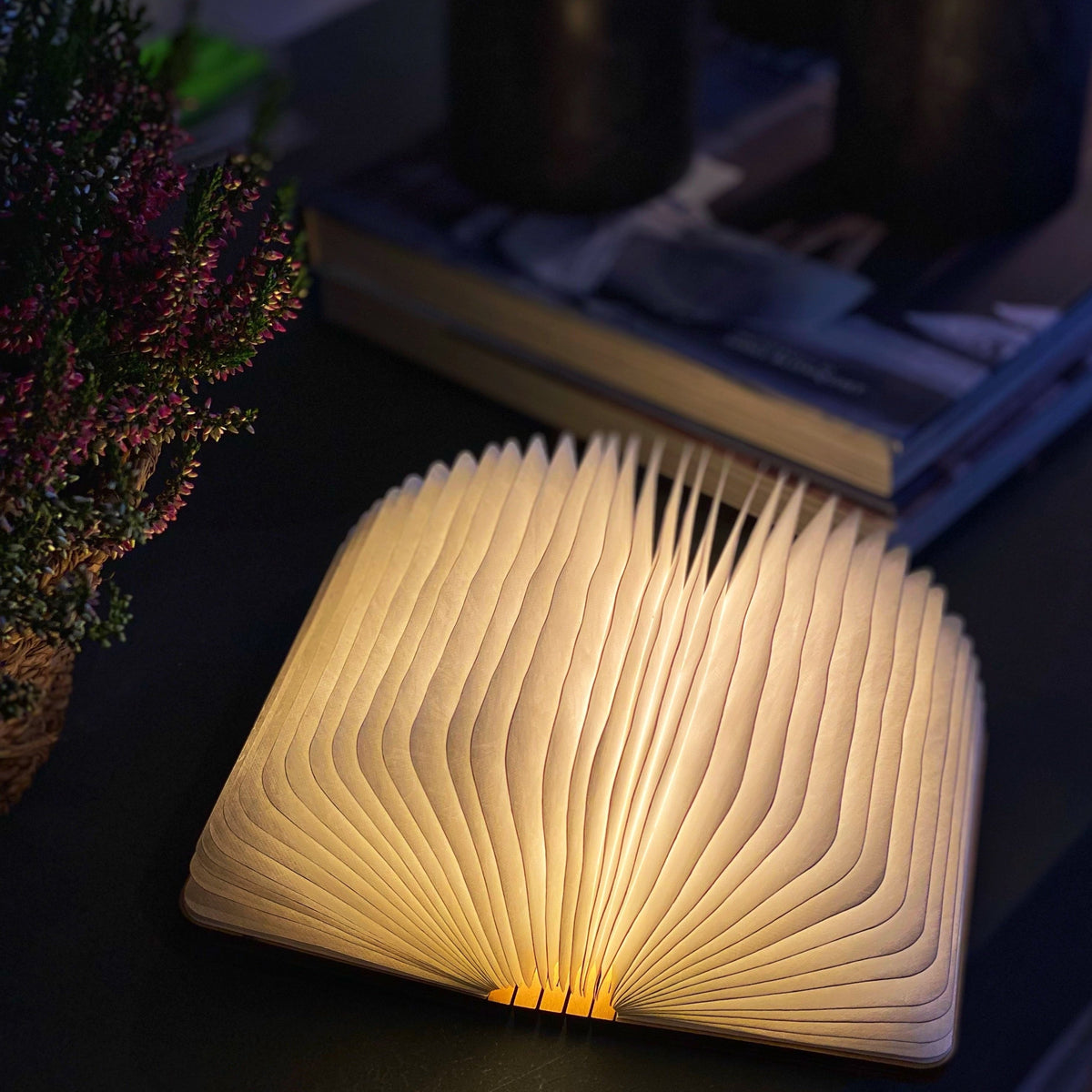 Booklight™ | Schaffe eine gemütliche Atmosphäre in jedem Raum!