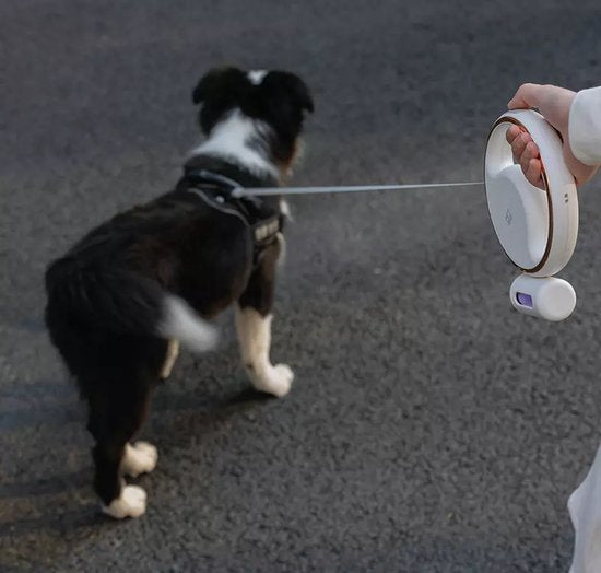Pet Leash™ | Die schlauen Lösungen für jeden Hundeliebhaber!