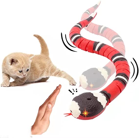 CatWave™ | Die ideale Lösung für aktive Katzen