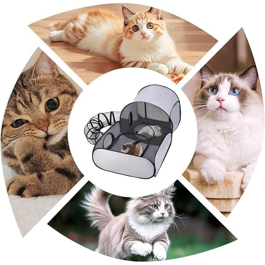 CatTent™ | Die ultimative Spiel- und Entspannungszone für Ihre Katze