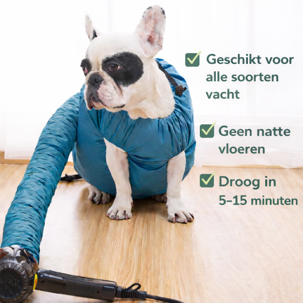 DryBuddy™ | Einfaches Trocknen in wenigen Minuten