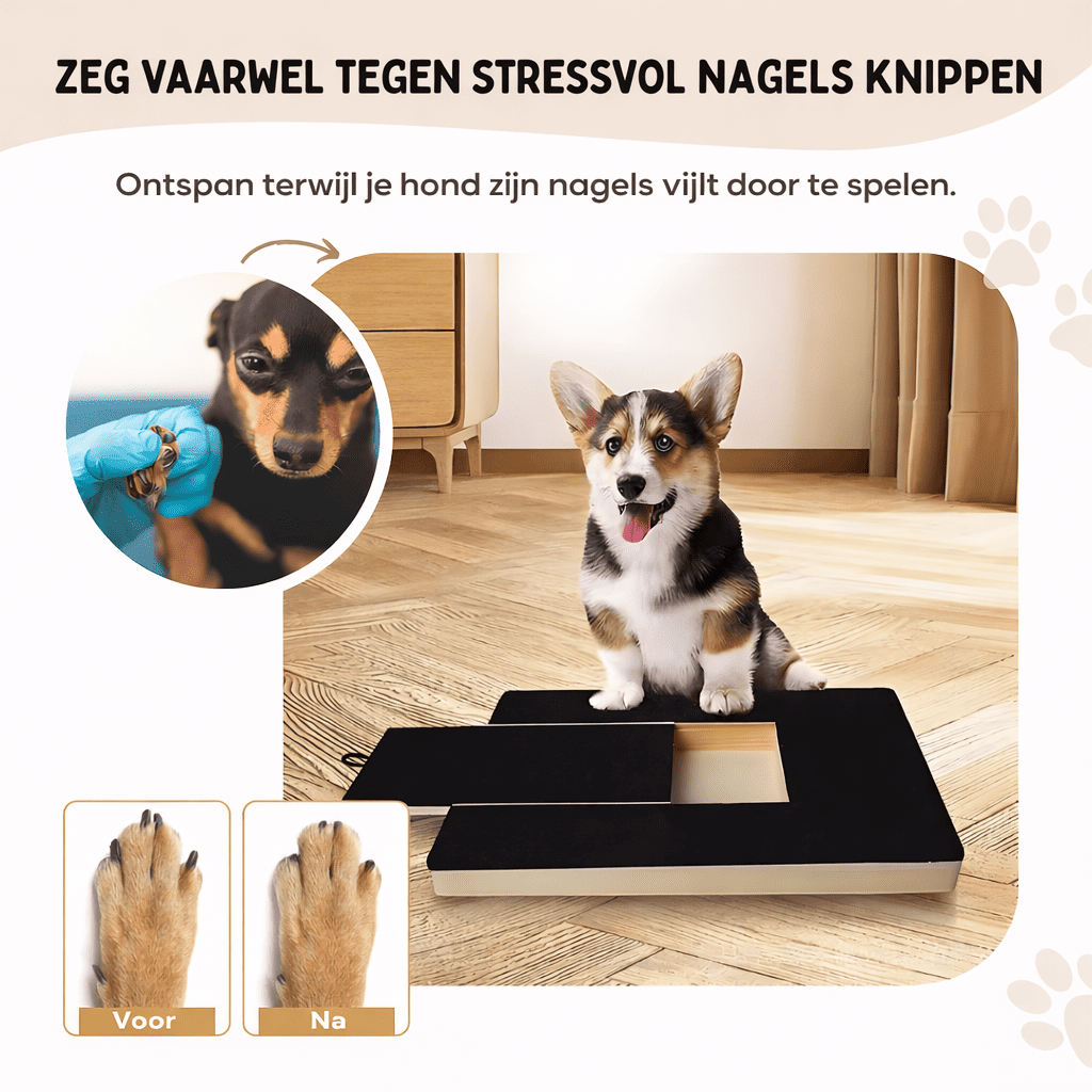 PlayTrim™ | Die smarte Lösung für lange Hundekrallen.