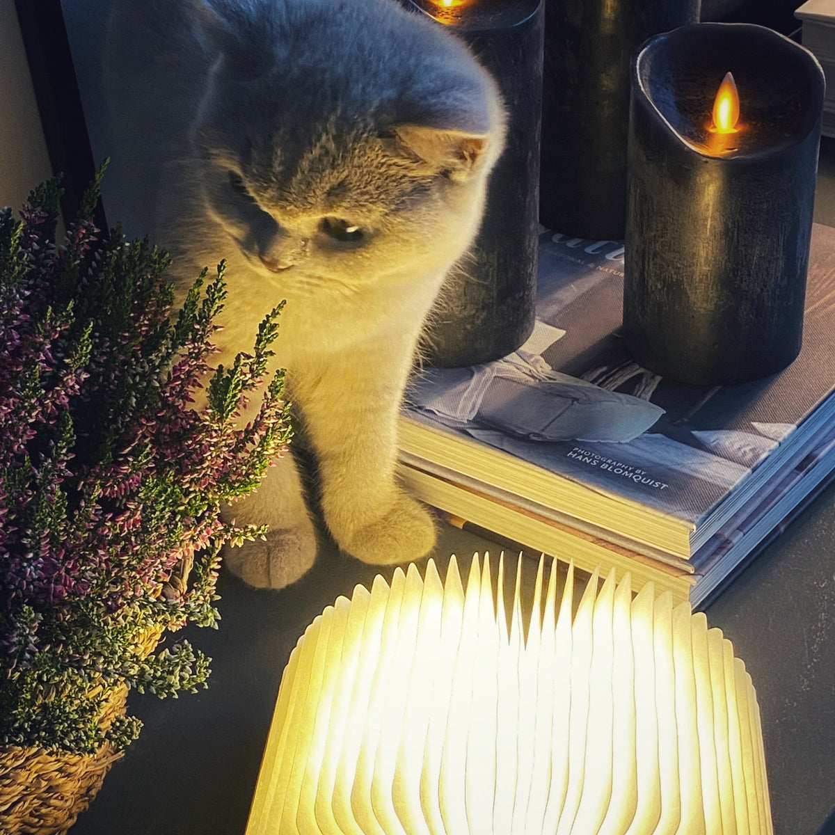 Booklight™ | Schaffe eine gemütliche Atmosphäre in jedem Raum!