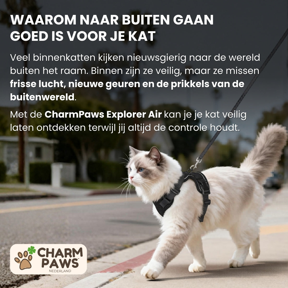 Walker Pro® | Atmungsaktives und verstellbares Katzengeschirr mit Leine.