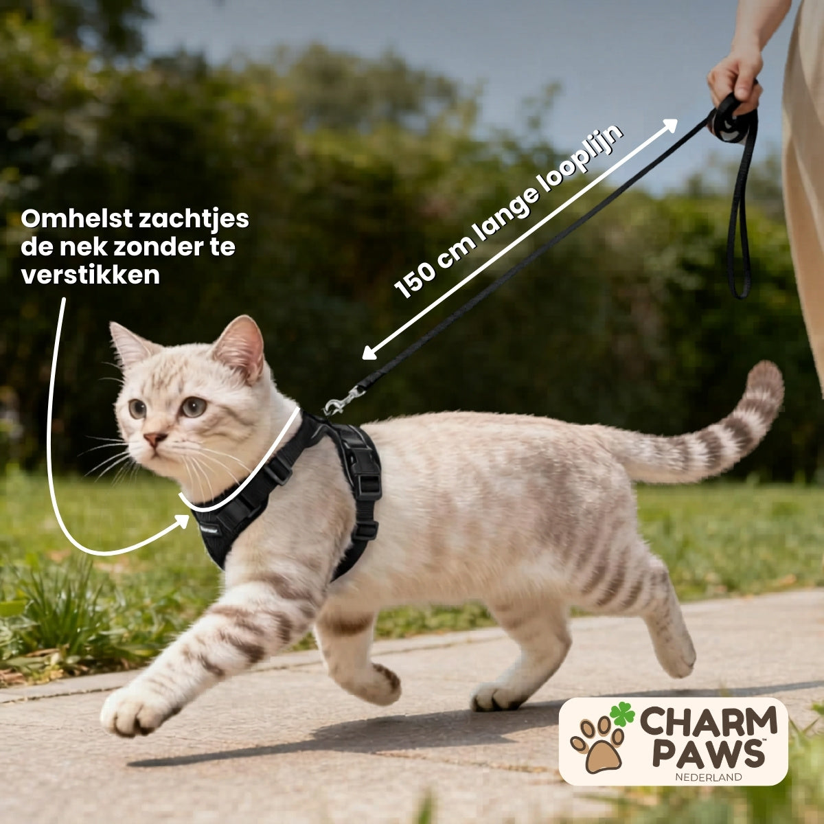 Walker Pro® | Atmungsaktives und verstellbares Katzengeschirr mit Leine.