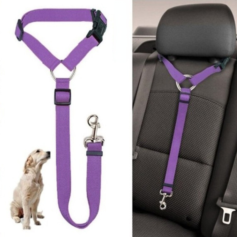 DogBelt™ | Immer sicher unterwegs mit deinem Vierbeiner!