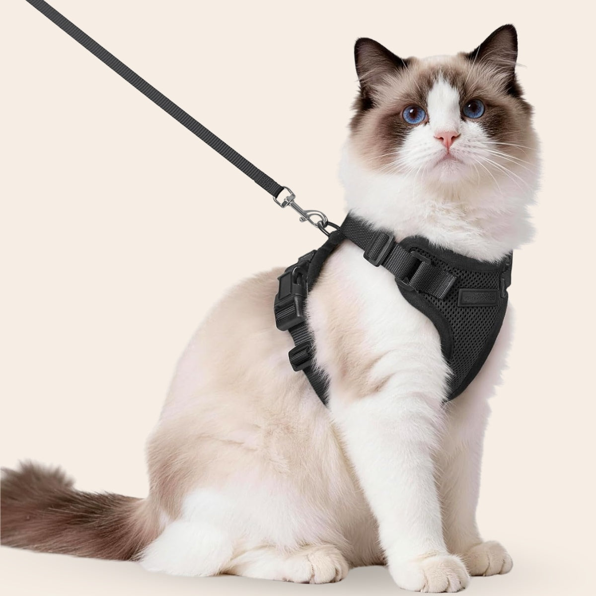 Walker Pro® | Atmungsaktives und verstellbares Katzengeschirr mit Leine.
