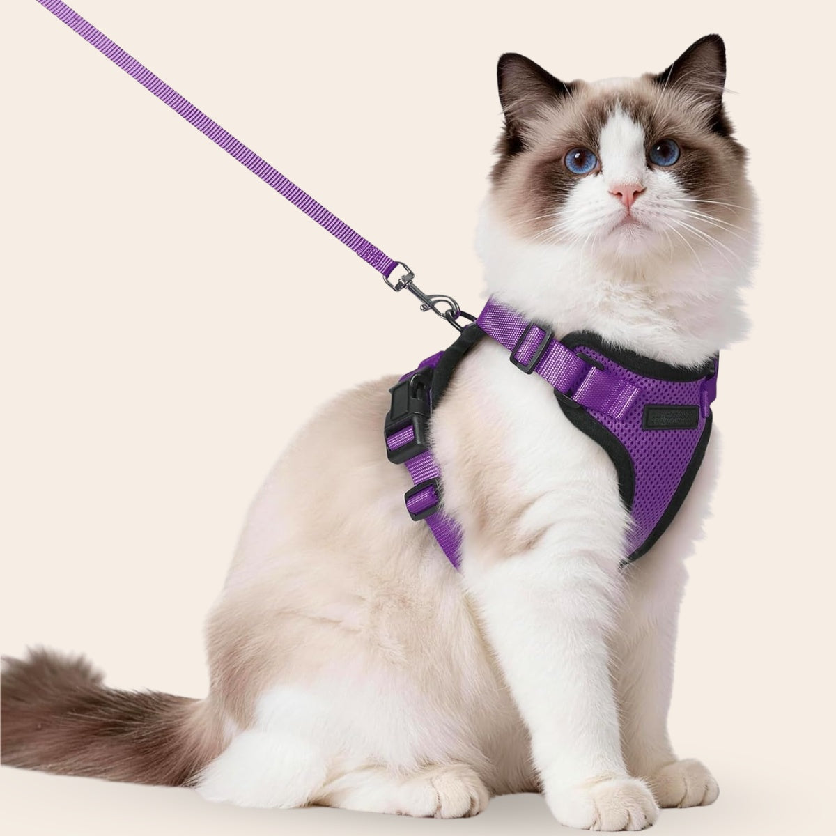 Walker Pro® | Atmungsaktives und verstellbares Katzengeschirr mit Leine.