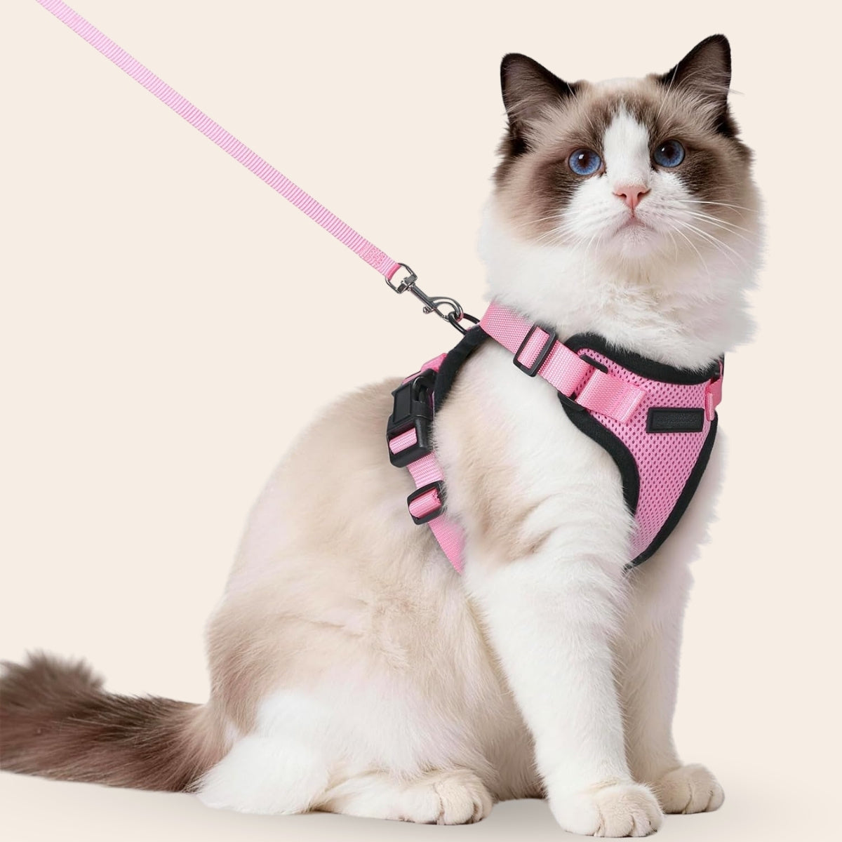 Walker Pro® | Atmungsaktives und verstellbares Katzengeschirr mit Leine.
