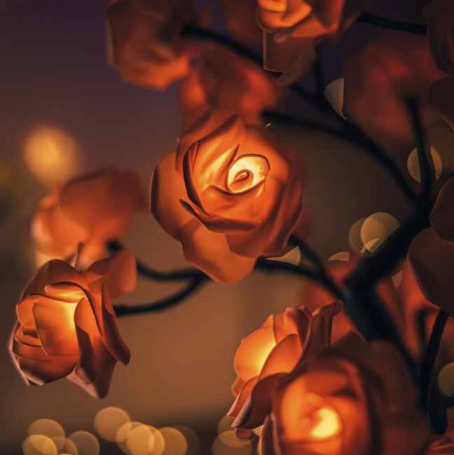 Rozyled™ | Einzigartige Rosen und LED-Licht in einem!