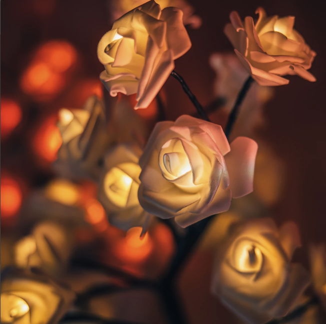 Rozyled™ | Einzigartige Rosen und LED-Licht in einem!