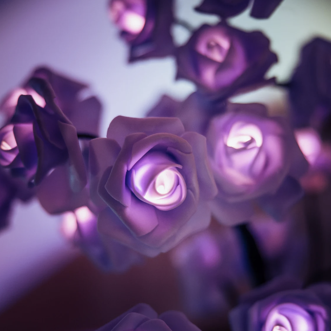 Rozyled™ | Einzigartige Rosen und LED-Licht in einem!
