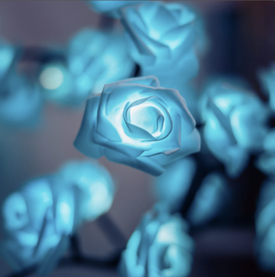 Rozyled™ | Einzigartige Rosen und LED-Licht in einem!
