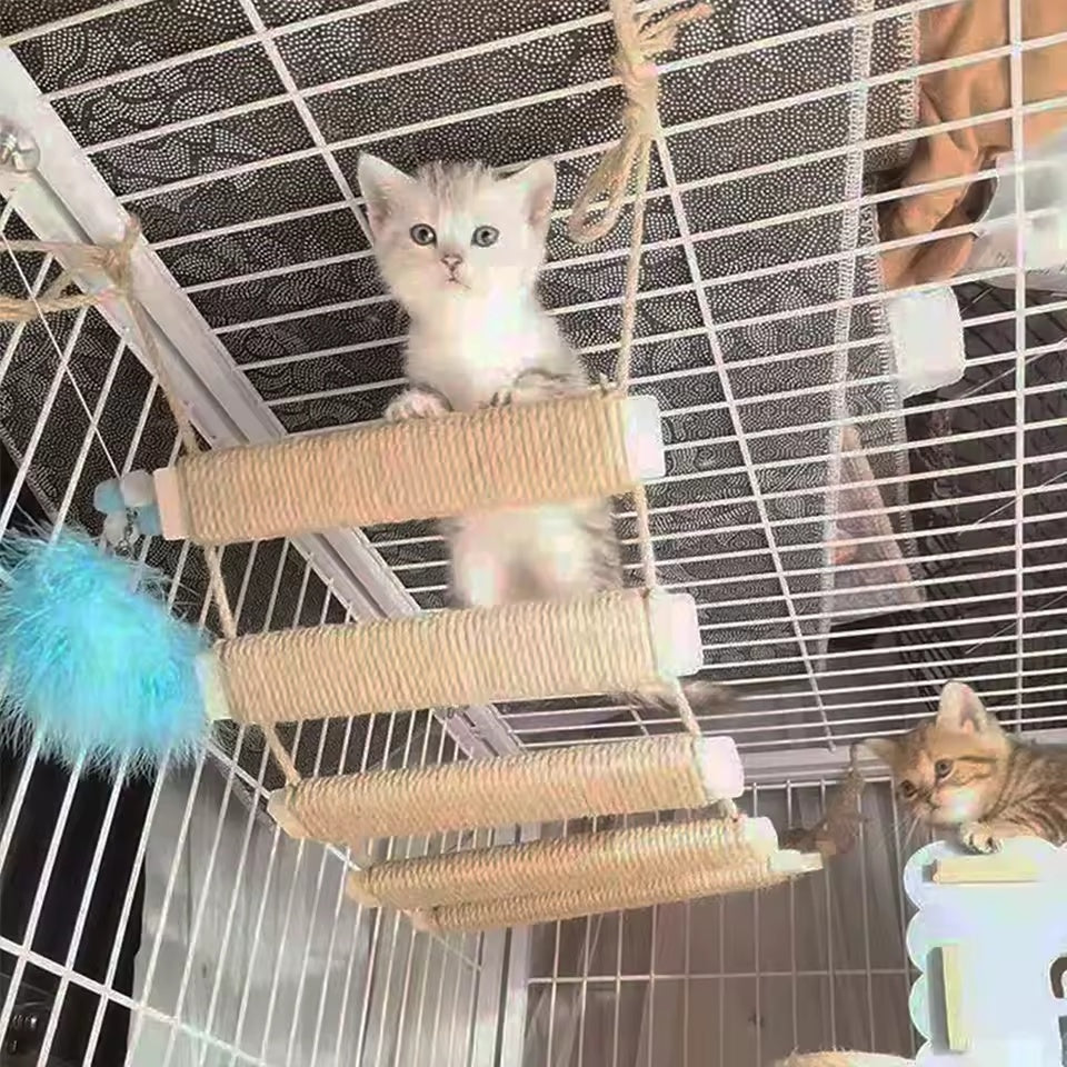 CatTrap™ | Lass deine Katze endlosen Kletterspaß genießen.