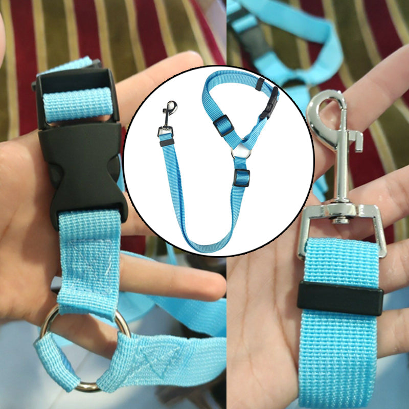 DogBelt™ | Immer sicher unterwegs mit deinem Vierbeiner!