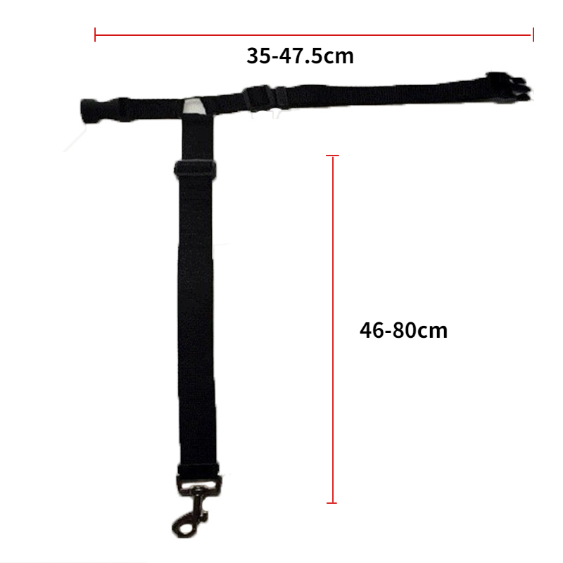 DogBelt™ | Immer sicher unterwegs mit deinem Vierbeiner!
